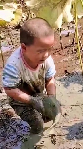 fenghuajueidai on TikTok