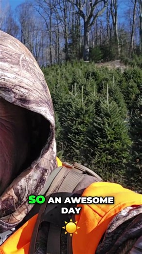 Muzzleloader Success! Two Deer & Bobcat Hunt #shorts