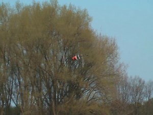 T-Rex 600 6S smooth 3D