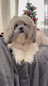 The internet needed this today. 😉♥️ | Mr. Charlie Tzu