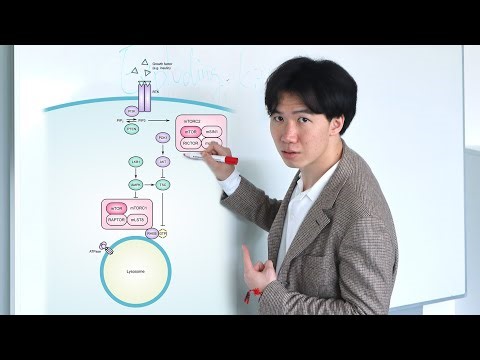 Free Signaling Pathway Illustrations | Scientific Illustration Tutorials