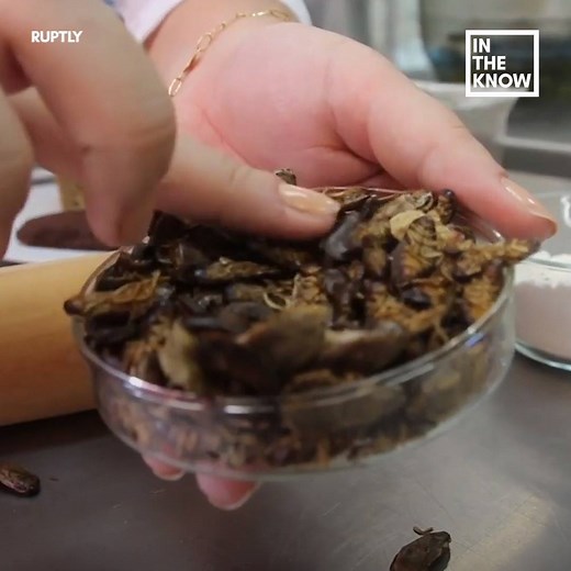 3.1M views · 94 reactions | These scientists from Brazil are making bread with cockroaches: (via In The Know) | Yahoo Canada | Facebook