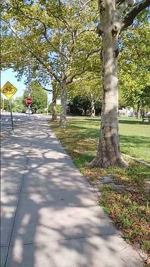 FRESH MEADOWS Park (NY) Road Test Tips #automobile #drivingtestroutes