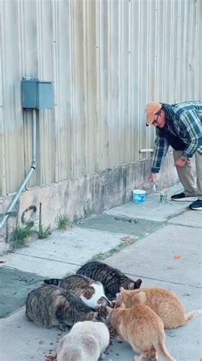 Mr.G & The Pizza Cats || Austin, Texas || 2/23/26