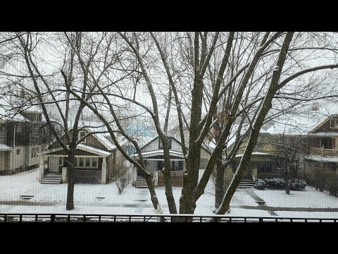 This Is Why I Was Knocked Out! Backin Up From The Drama & Rip Off Here!