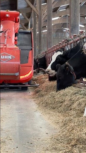 Le robot alimente sans broncher #agriculture #farming #shorts #kuhn