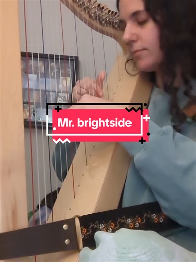 Practice video. Need more covers! #harp #harpsicle #mrbrightside