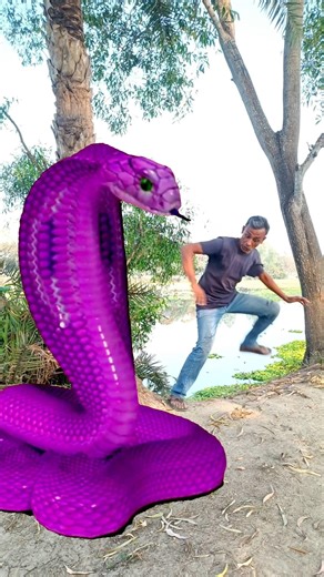 Anaconda Snake in real life 169 #shorts #short #snake #nagin #python #Anaconda #snakes #bigsnake