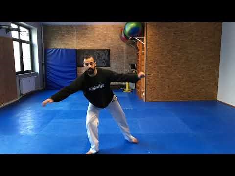 Capoeira Tutorial German Basic Steps (GINGA) #1