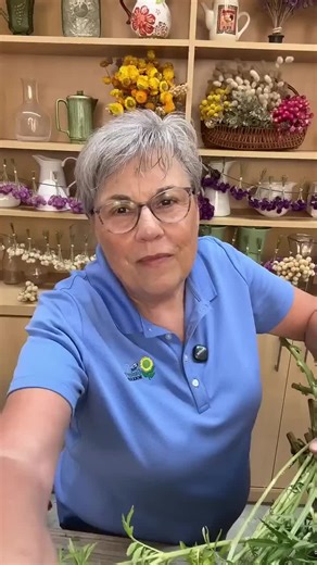 *Current Links & Offers in Bio* LINKS IN BIO! Or go to thegardenersworkshop.com Thinking marigolds would smell pretty darn good about now… Snow has begun. Stay warm.