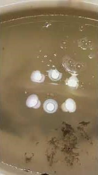 Drano Max Gel Review Part1