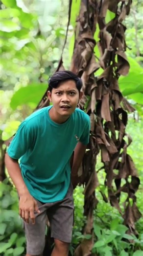 #Timelapse: Construcción completa ensolitario de una cabaña de madera | Cómo construir una cabaña"