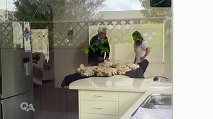 New Zealand has one wool classing course left, taught by industry legend Laurie Boniface. Now, Boniface is retiring and finding a replacement tutor has proved difficult. | Q A