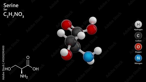 Molecule of Serine (C3H7NO3) is an amino acid vital for protein synthesis and metabolism. Its involved in the synthesis of other amino acids and supports immune function. Black background. 3d render