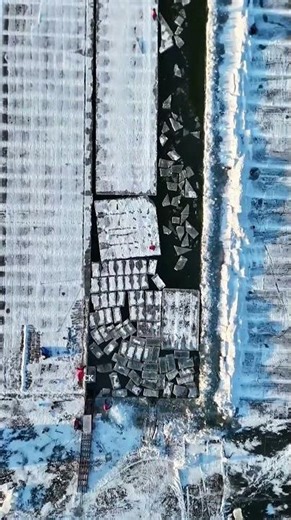 The process of ice extraction on the water surface