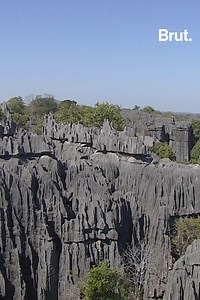 Une cathédrale façonnée par des siècles d'érosion, un petit animal aux mains géantes... Voici 3 merveilles à découvrir sur l'île de Madagascar. | Brut nature FR