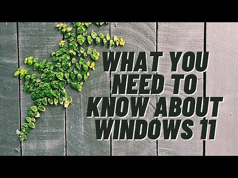 What You Need To Know About Windows 11