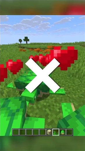 Turtle can't breed......