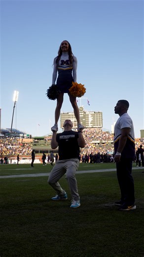 Chasing dreams | David Andrew