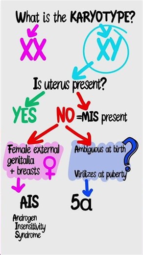 Ambiguous Genitalia Flowchart | USMLE Step 1 High-Yield Repro Mnemonic