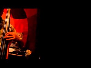 Stagg Electric Upright Bass Sound Experimentation