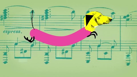 Cutest Wiener Dog Rides a Skateboard In This Animation