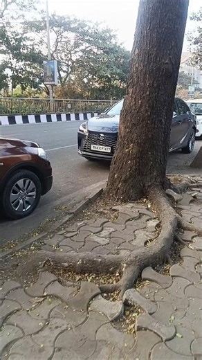 Lexus RX 😱❤️ #shortsfeed #carspotting #trending #viral