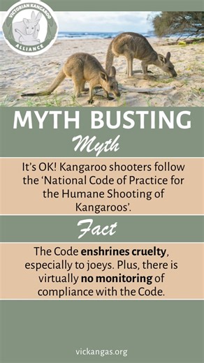 3.2K views · 72 reactions | CRACKING THE CODE: IT SAYS WHAT?!? The...