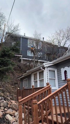 Another successful tree removal project completed! ✔️ No heavy machinery needed—just our expert skills, climbing gear, and rigging. Keeping homes safe, one tree at a time! 🌳🏡 📍Old Town, Park City, Utah #TreeService #SafetyFirst #treetemoval #treeskills #treeclimbingservice #treeserviceexperts #utah #parkcity #historicparkcity #oldtown | Heartwood Tree Service UT