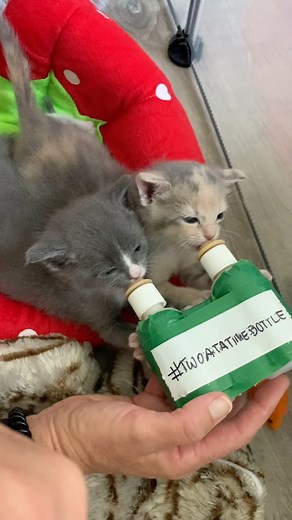 48K views · 3.8K reactions | Power Breakfast .... They took to the...