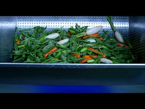 Cosmos Vegetable Washer - EssEmm Corporation
