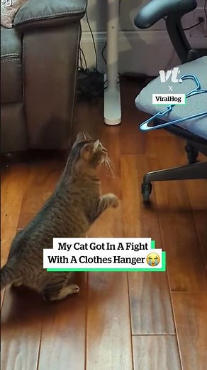 My cat got in a fight with a clothes hanger 😭