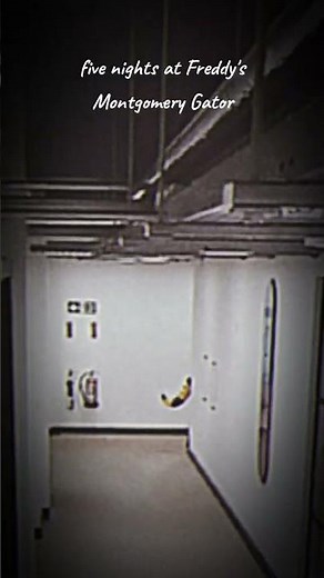 Montgomery Gator - Five Nights at Freddys 😮 #fnaf #fnafsecuritybreach #montgomerygator #montygator