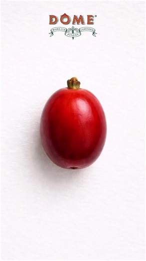 It begins with the bean… roasted, ground, brewed, and finished with velvety milk to create the perfect cappuccino. Only at DÔME. #DomeCafeMalaysia