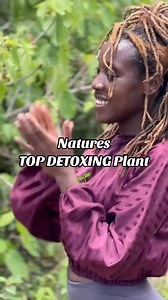 The Jamaican corkscrew plant is a top detoxer to the body. If you are looking to rid the body of mucus, starch and pus, then use the Jamaican corkscrew plant. Jamaican corkscrew herb will combats gastrointestinal issues abd this plant medicine will bring balace back to the body#corkscrewplant #jamaicancorkscrew #corkscrewherb #plantmedicine #healingherbs #herbalist #medicinalplants #alternativemedicine #plantsofFacebook #jamaicanherbs #healingplants #plantsoftiktok #alternativehealing #detox #pl