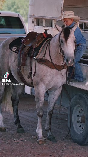 True blue gentleman! Blueberry is lot 46 in Premier Horse Sales Ft worth sale! #ftworth #summertime #aqha #premierhorsesales #skclivestock #cowgirlmagazine #westernhorseman #gentleisthebestcolor | SKC Livestock