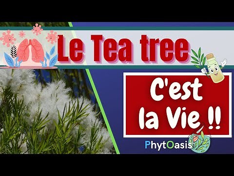 Comment utiliser l Huile Essentielle de Tea tree: Mode d'emploi!