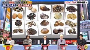 ネプリーグの面白いクイズシーン集