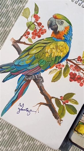 water colour parrot ✨#nature #bird #watercolorpainting