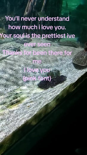 Heartfelt Love Messages in Pink Font