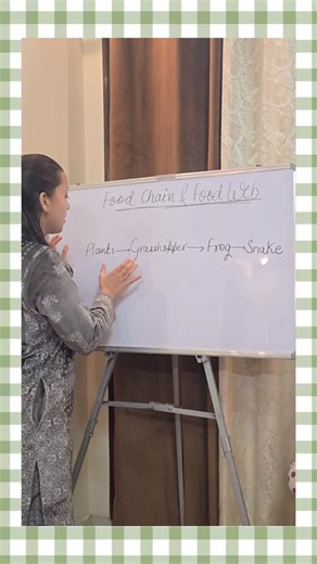 Brain Beads Academy on Instagram: "Most students think food chain and food web are the same and that’s where marks are lost ❌ This reel explains the real difference, with simple logic and real-life examples! 📚 Perfect for Class 6 Science 📌 Save this for last-minute revision 👨‍👩‍👧 Try it once with your child, concepts will click. 📞 Call / WhatsApp: +91 8979796226 💬 Comment SCIENCE for worksheets & online classes Learning science should be clear, not confusing ✨ #foodchainvsfoodweb #class6s