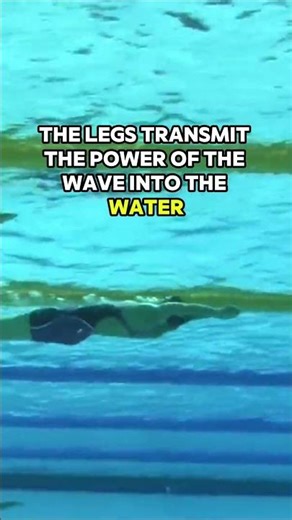 The Importance Of Undulation #swimming