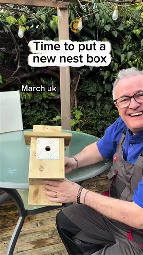 Building a Perfect Bird Nest Box for Your Garden