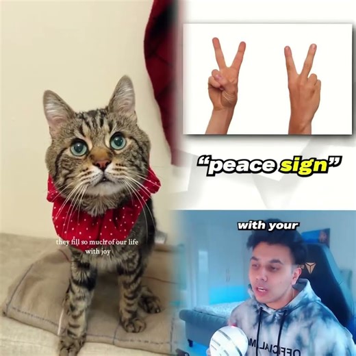 Hand signs that spark offense across cultures ⚠️ #culture #warning