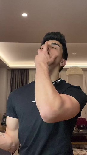 Understanding Hand Gestures in Modern Communication