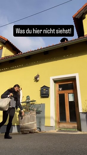 😫Das hatte ich zuhause vergessen: Alle Schlingen um die Yogatücher aufzuhängen!! OMG - kurzer Schreckmoment!🙈 Aber wie immer war ich mega früh dran und diesmal war der Workshop nur im Nachbardorf im @dasyogahaus.eu und ich war in 7 Minuten wieder daheim! Glück 🍀gehabt! Halleluja! Aerial Yoga macht mir eindeutig am meisten Spaß zu unterrichten!🦋 Mit welchem Yogastil hast du / möchtest du anfangen? Schnupper dich durch verschiedene Yogastile im “Yoga Lichter Adventkalender”.🌟 🕯️Öffne jeden T