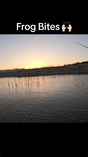 Is It Topwater Fishing Season for Bass?