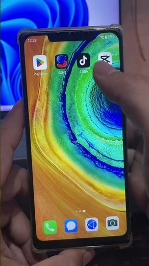 🧽海绵宝宝派大星超萌动态壁纸！SpongeBob Live Wallpaper #动态壁纸 #手机壁纸 #livewallpaper #4kwallpaper