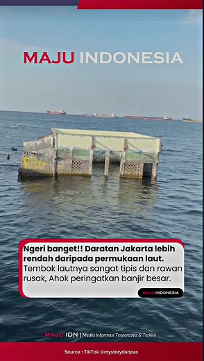 Menolak Giant Sea Wall di Jakarta: Apa Alasan Dan Dampaknya?