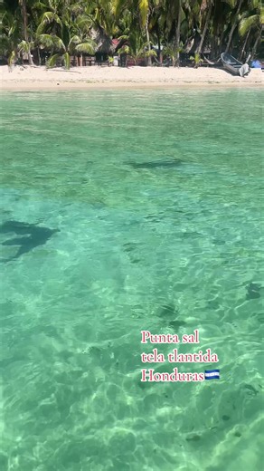 Viajes todos los dias del Año #puntasal🏖️ #puntasalhonduras | punta honduras